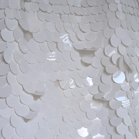 White Sequin Dress - Picture 5 of 5